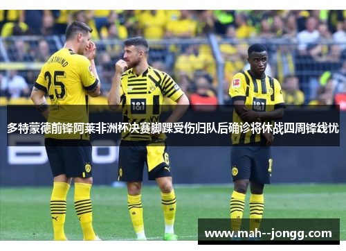 多特蒙德前锋阿莱非洲杯决赛脚踝受伤归队后确诊将休战四周锋线忧